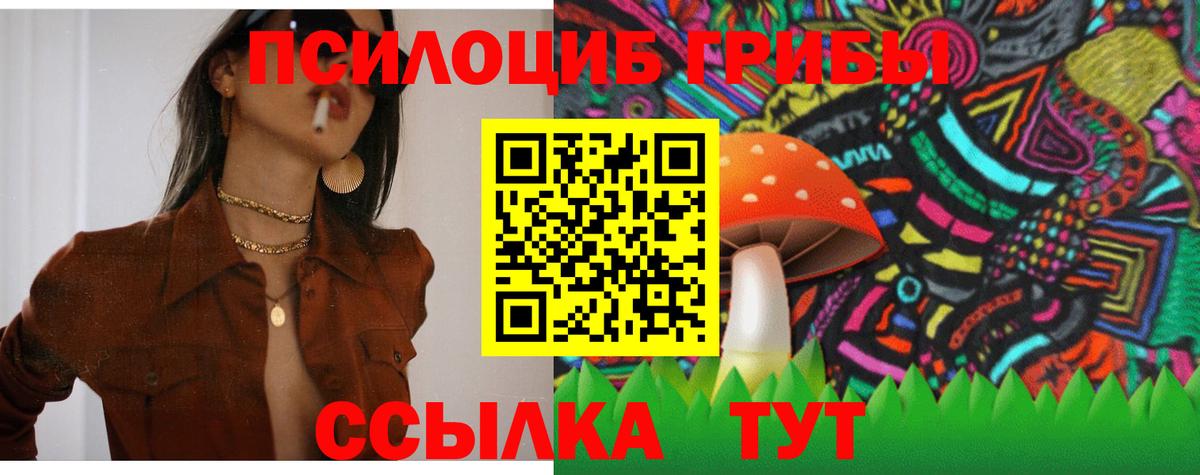 Псилоцибиновые грибы Psilocybine cubensis Калининград