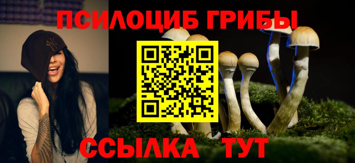Калининград  купить закладку  Вход с VPN  Галлюциногенные грибы ЛСД 